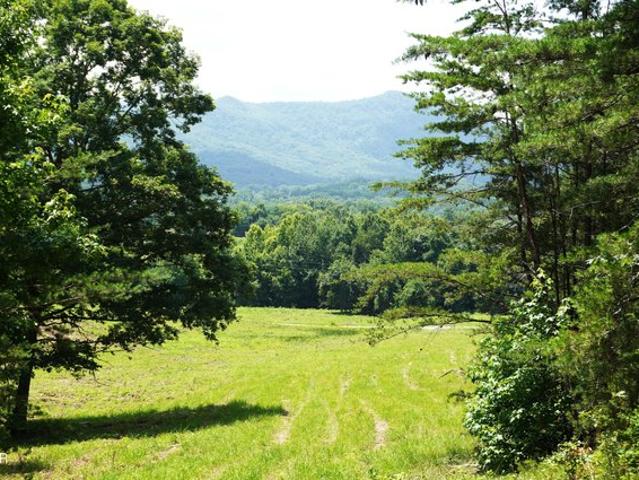 Land for sale in Tennessee