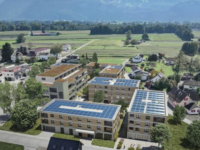 Wohnung kaufen in Diepoldsau, St. Gallen