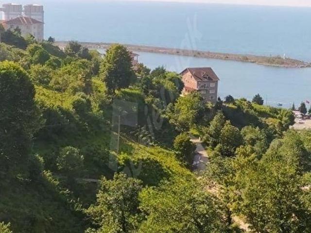 Çayeli, Rize içerisinde satılık Dükkan