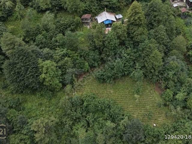 Hemşin, Rize içerisinde satılık Arsa