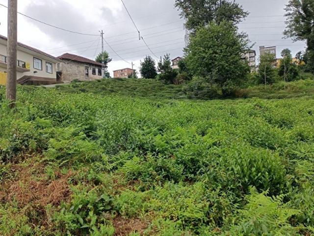 Rize içerisinde satılık Arsa