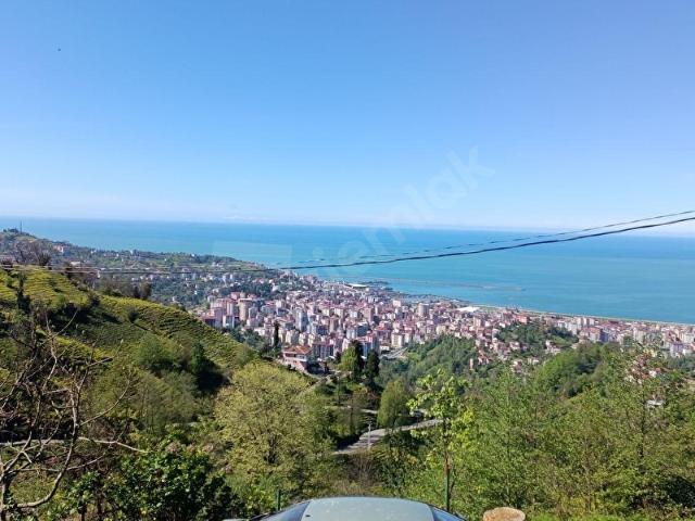 Kaplıca Mahallesi, Rize Merkez içerisinde satılık mülk