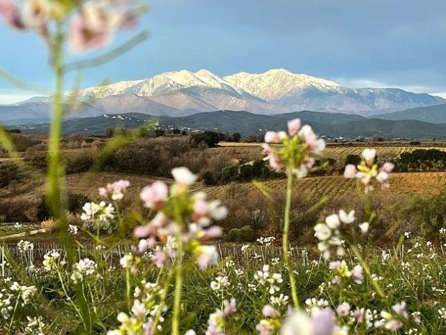 Terrain vente à Prades, Ria-sirach