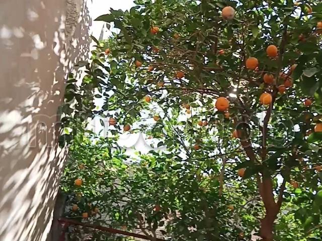 Riad vente à Marrakech, L'Oriental