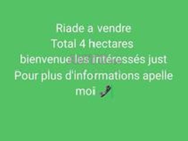 Propriété vente à Taroudant, Oued ed Dahab-Lagouira