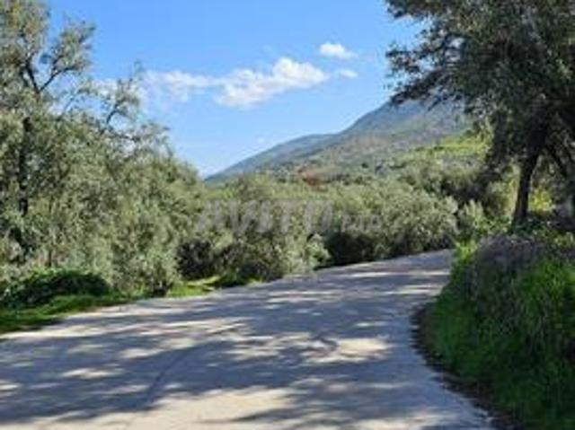 Maison vente à Beni Mellal ⴰⵢⵜ ⵎⵍⵍⴰⵍ بني ملال, Province de Beni Mellal إقليم بني ملال