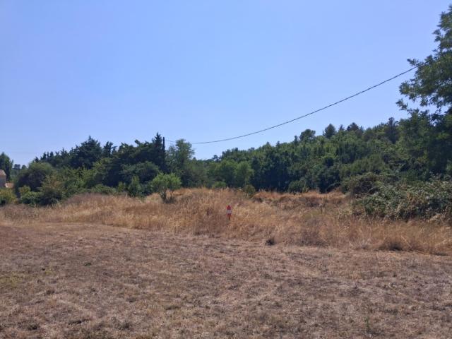 Terrain vente à Brignoles, Rians