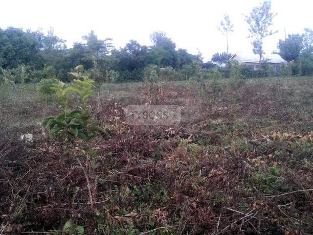 Land for sale