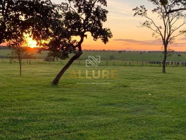 Sítio e chácara venda em Região Geográfica Imediata de Campo Grande, Ribas do Rio Pardo