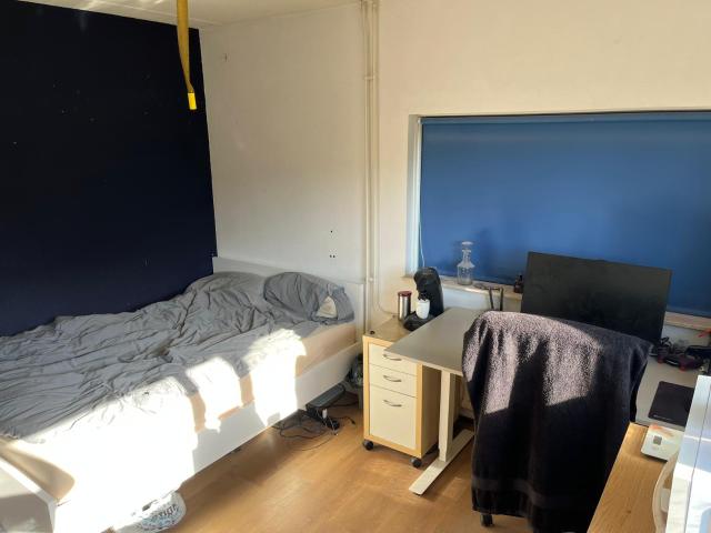 Kamer te huur in Het Ribbelt, Enschede