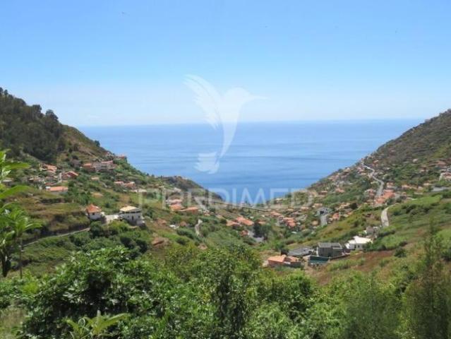 Terreno venda em Pombal, Leiria