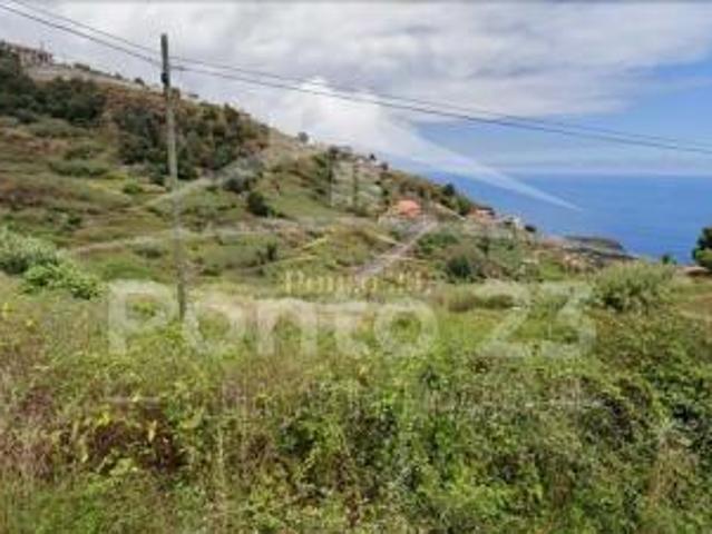 Terreno venda em Pombal, Leiria