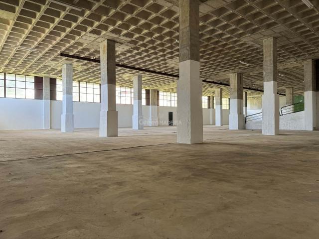 Loja alugar em Pombal, Leiria