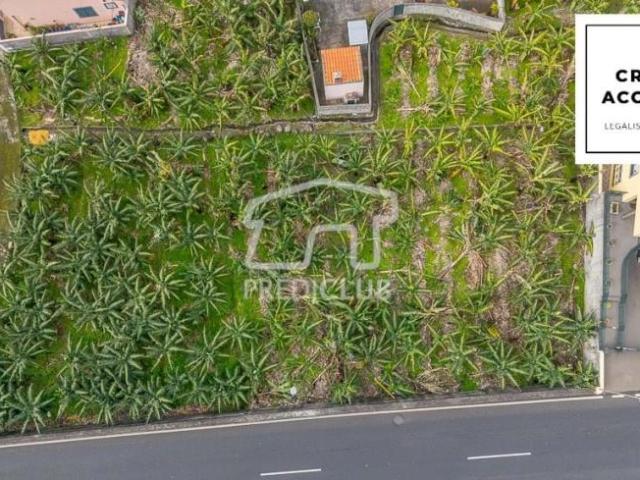 Terreno venda em Pombal, Leiria
