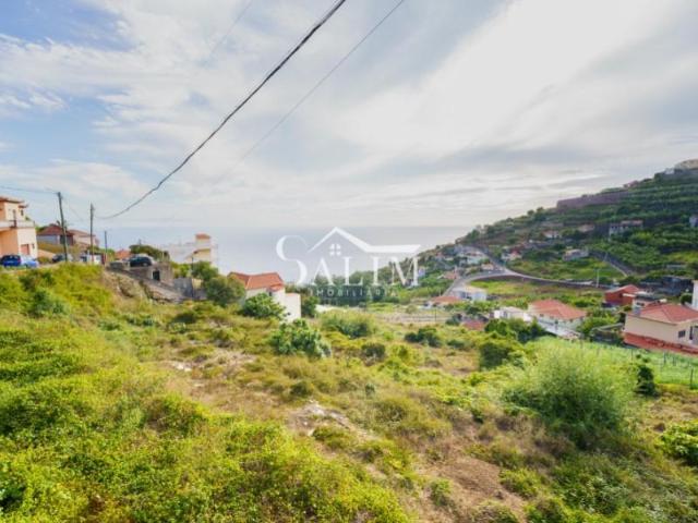 Terreno venda em Ribeira Brava, Ilha Da Madeira