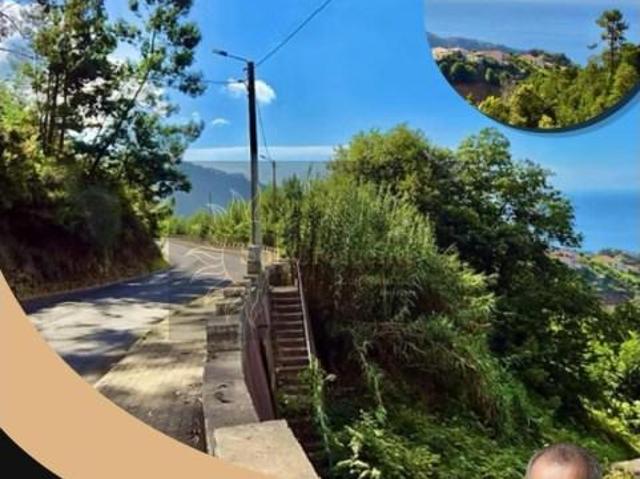 Terreno venda em Ribeira Brava, Ilha Da Madeira