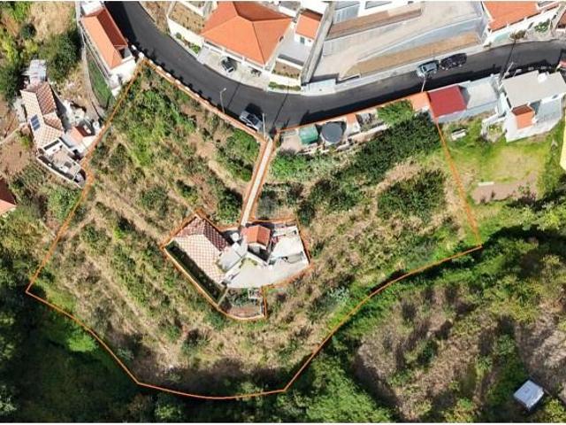 Terreno venda em Ribeira Brava
