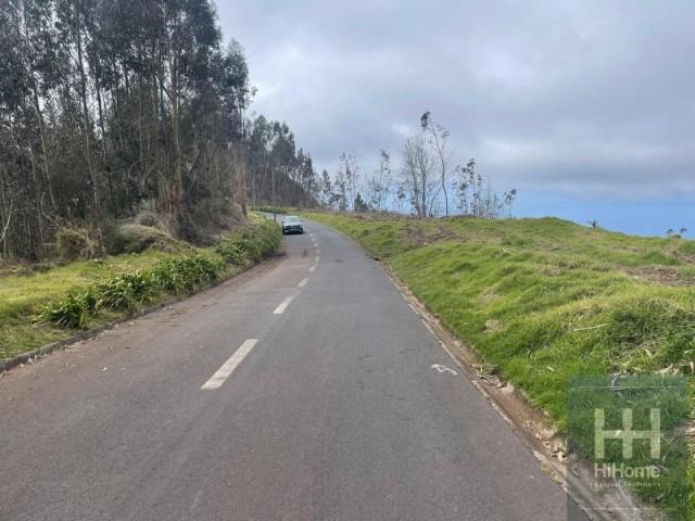 Terreno venda em Calhau da Lapa, Ribeira Brava