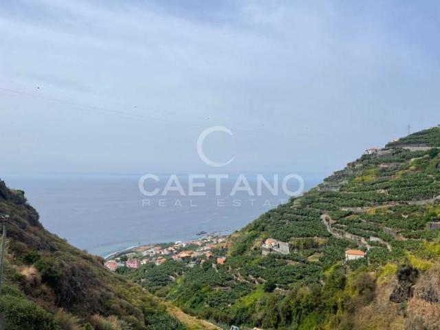 Terreno venda em Ribeira Brava, Ilha Da Madeira
