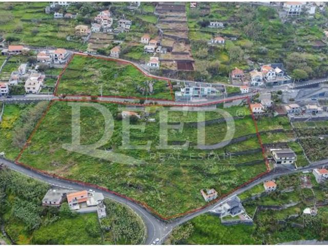 Terreno venda em Ribeira Brava, Ilha Da Madeira