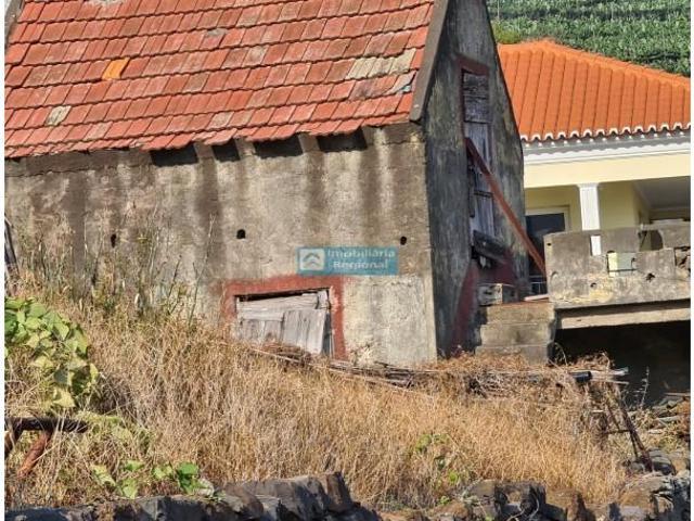 Terreno venda em Ribeira Brava, Bica de Pau