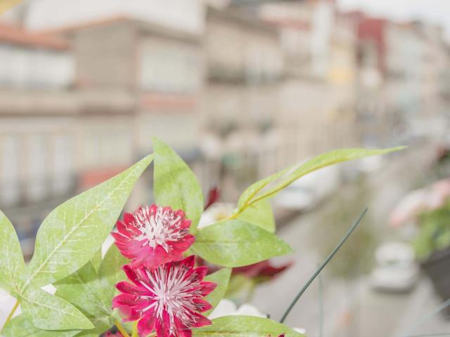 Apartamento alugar em Porto, Cedofeita