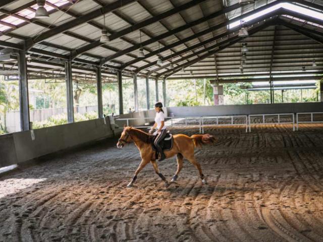 Immobilie kaufen in Gerra, Gambarogno, Tessin