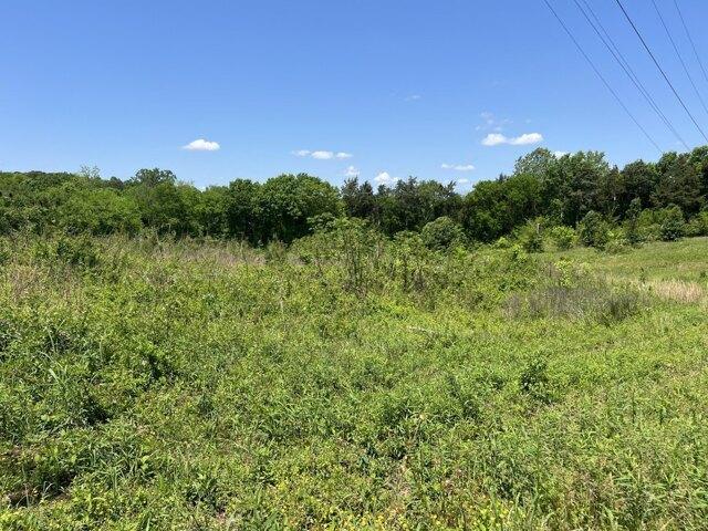 Land for sale in Riceville