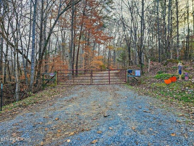 Land for sale in Riceville