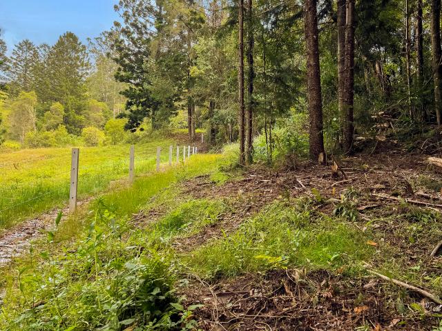 Property for sale in Wadeville, New South Wales