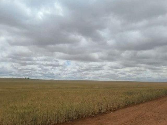 Land for sale in Wunkar, South Australia