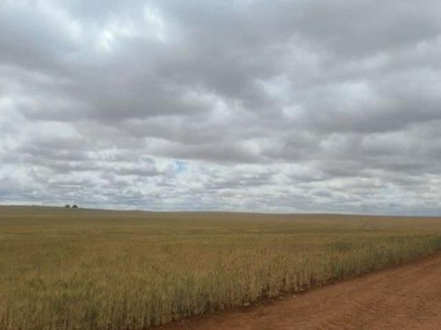 Land for sale in Wunkar, South Australia