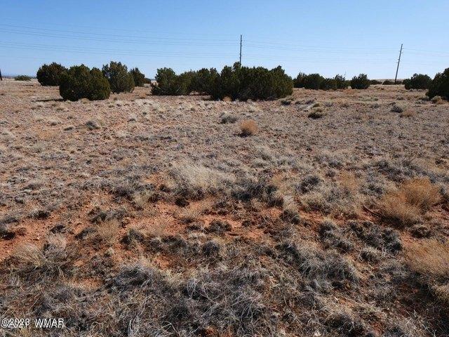 Land for sale in Navajo, Arizona