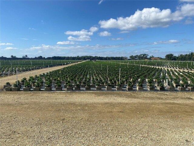 Land for sale in Homestead, Florida