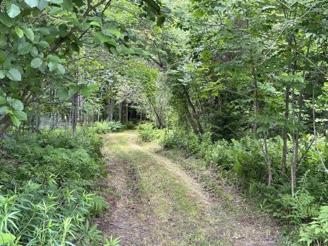 Land for sale in Elmore, Wolcott