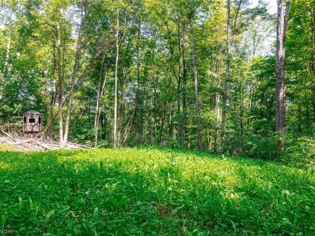 Land for sale in Cambridge, Guernsey County
