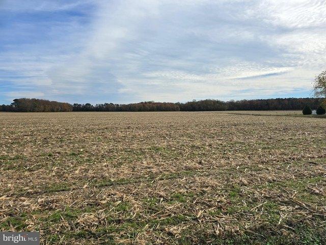Land for sale in Wicomico, Maryland