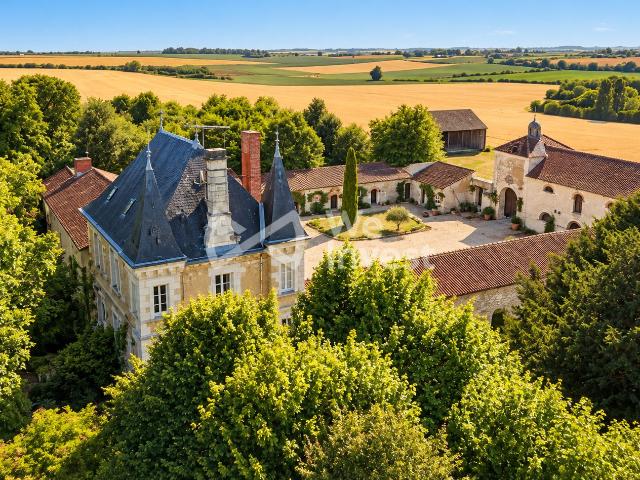 Château vente à Richelieu, Indre-et-Loire