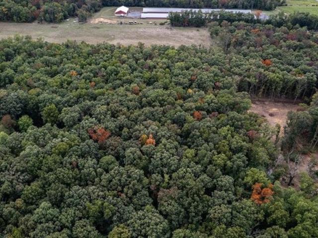 Land for sale in Virginia