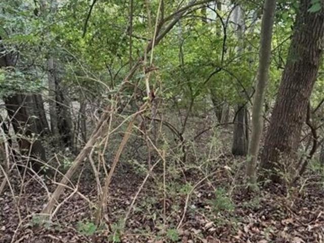 Land for sale in Ballwin