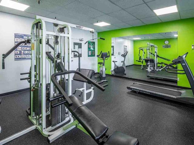 Apartment for rent in Mulhurst Bay, Ontario