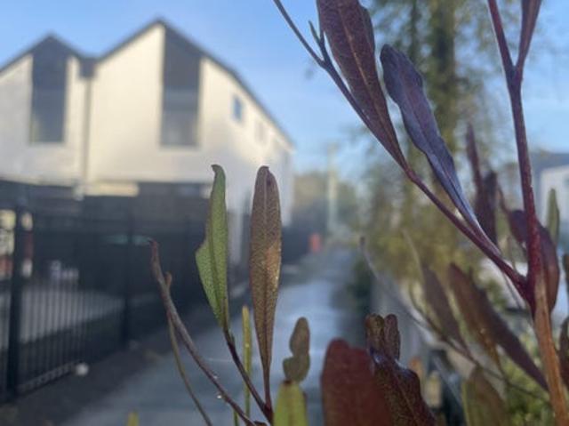 House for rent in Heathcote, Canterbury