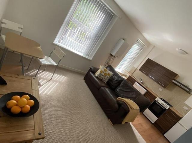 Apartment for rent in Plasnewydd, Falcon Lodge