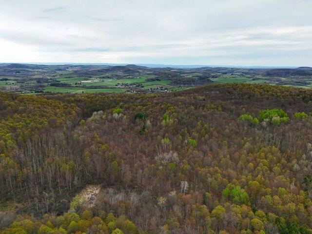 Land for sale in New York