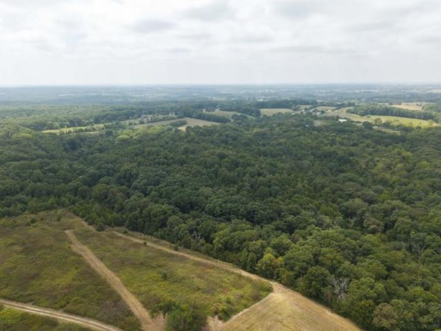 Land for sale in Clever, Missouri