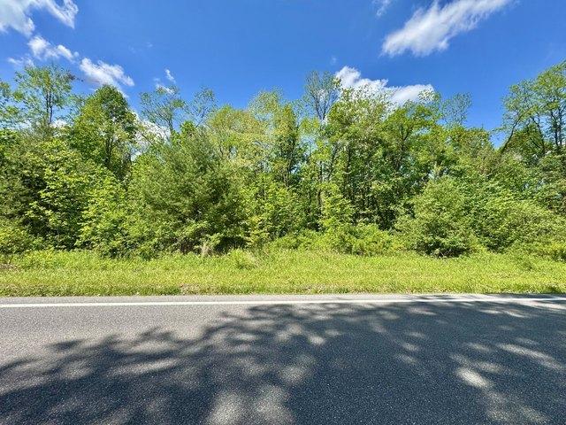 Land for sale in Richwood, West Virginia