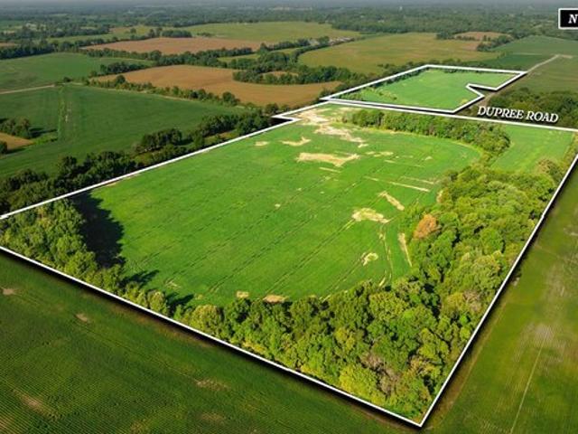 Land for sale in Friendship, West Tennessee