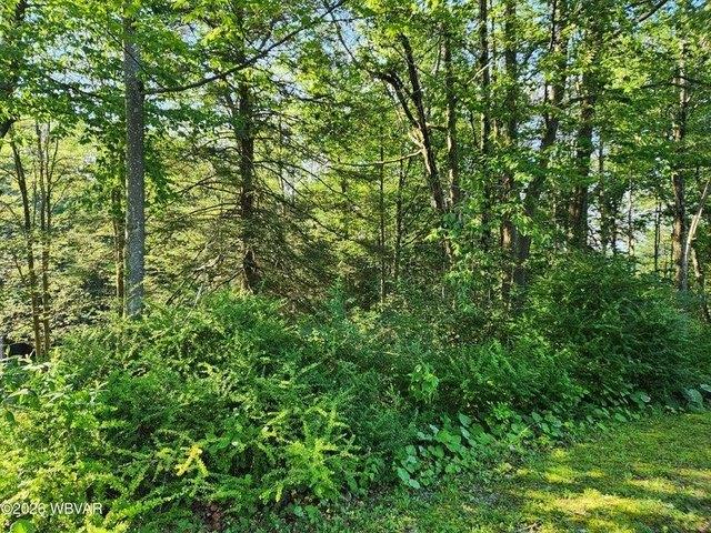 Land for sale in Sullivan, Pennsylvania