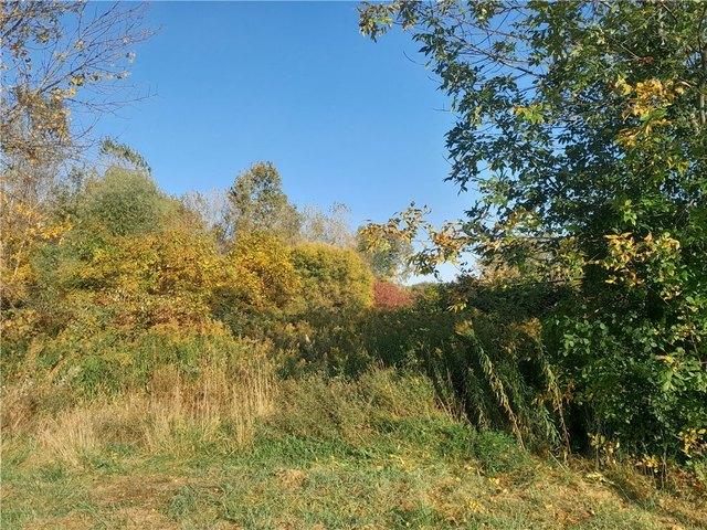 Farm for sale in Wayne, New York