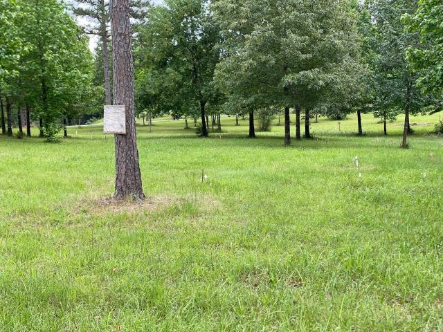 Land for sale in Quitman, Cleburne County